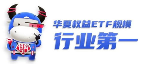 華夏基金 短期估值高低并非核心矛盾,成長空間才是科創(chuàng)板投資關(guān)鍵